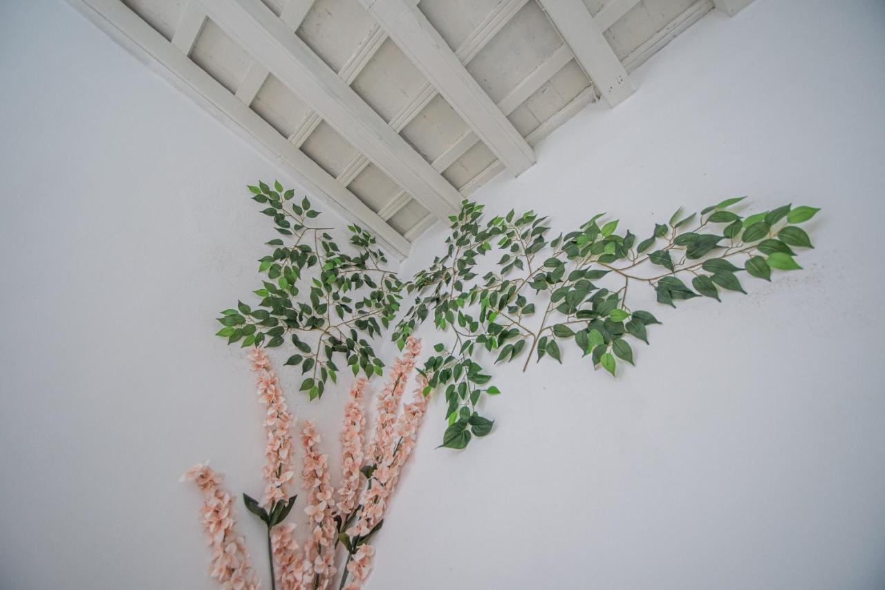 Apartamento El Cobijo De Cádiz Buitenkant foto